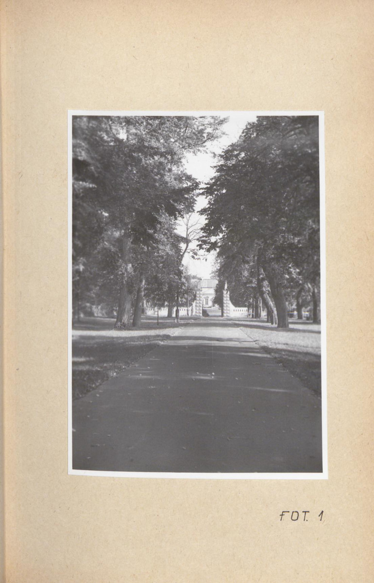 Ewidencja parkowa, skan nr 50