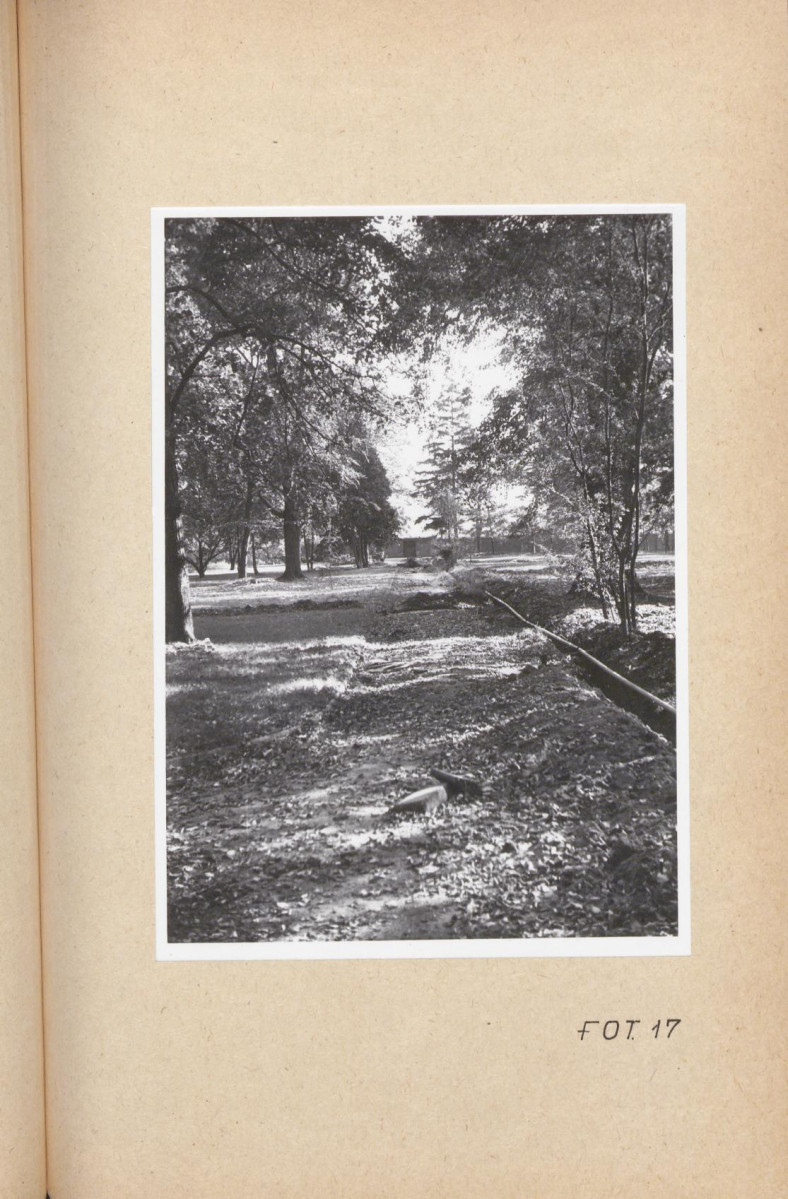 Ewidencja parkowa, skan nr 66