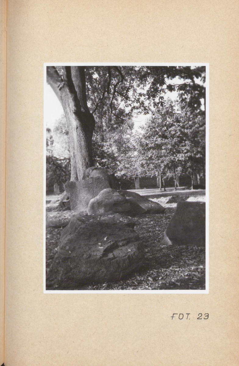 Ewidencja parkowa, skan nr 72