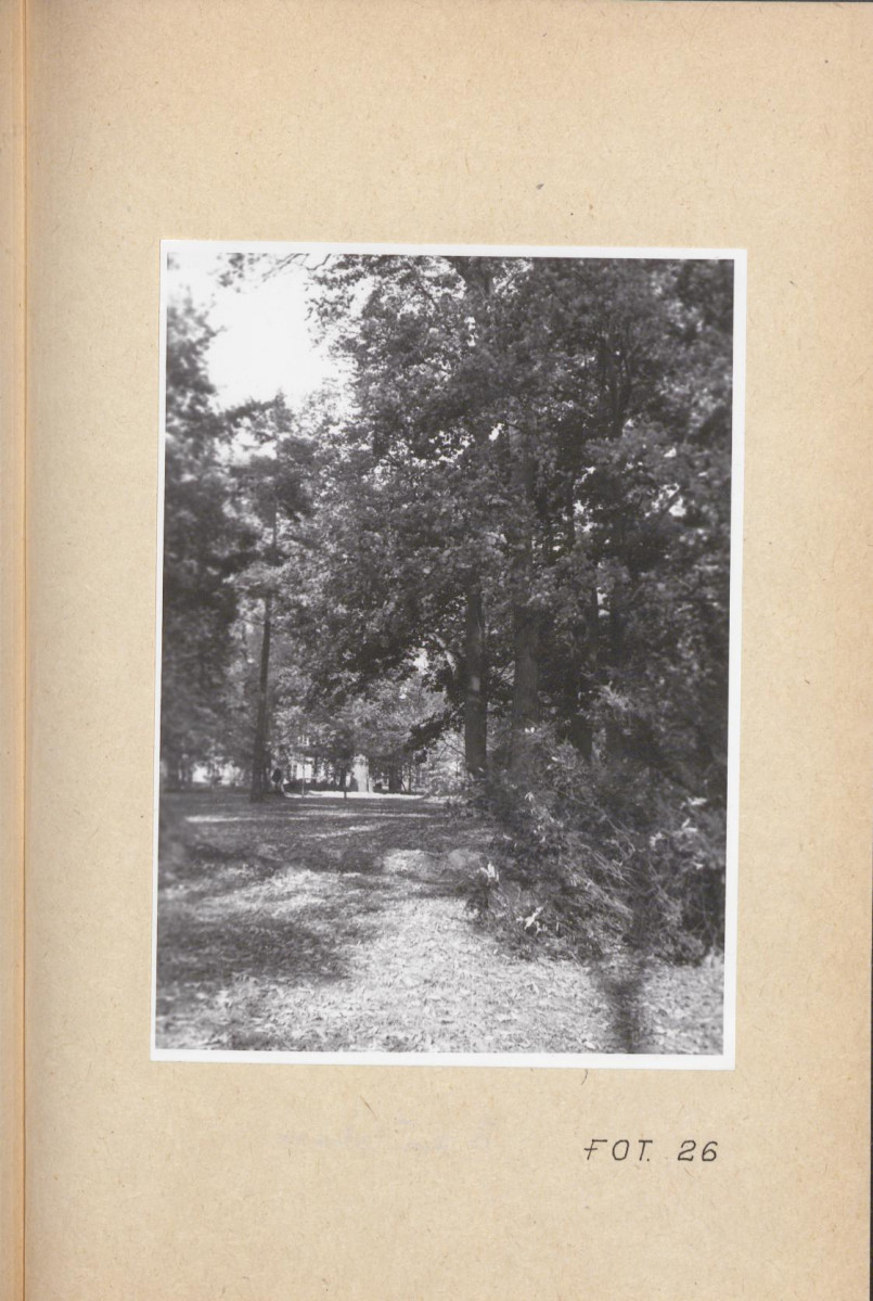 Ewidencja parkowa, skan nr 75