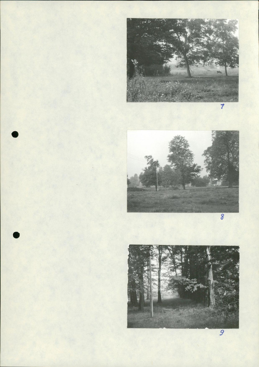 Ewidencja parkowa, skan nr 24