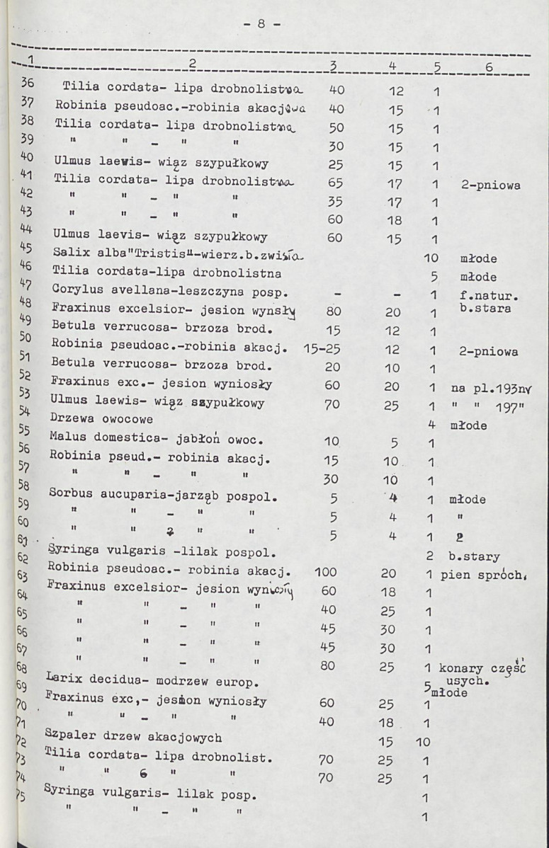 Ewidencja parkowa, skan nr 19