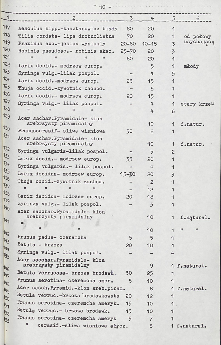 Ewidencja parkowa, skan nr 21