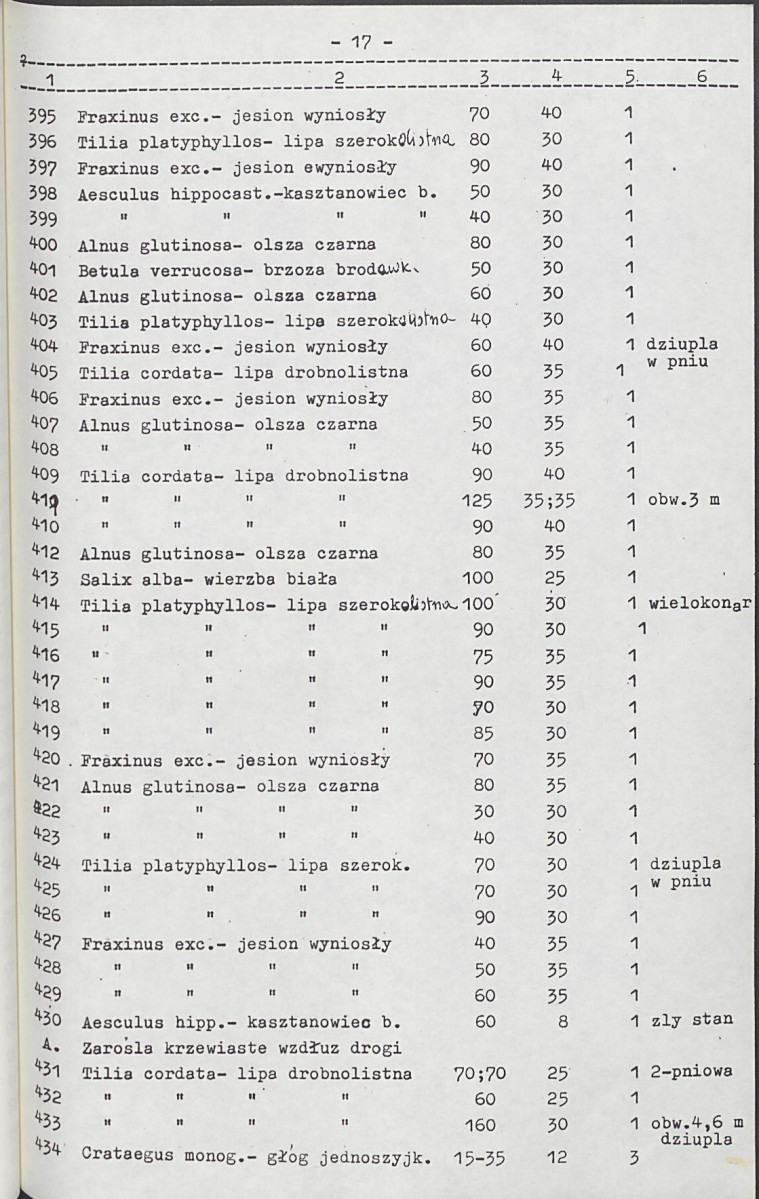 Ewidencja parkowa, skan nr 28