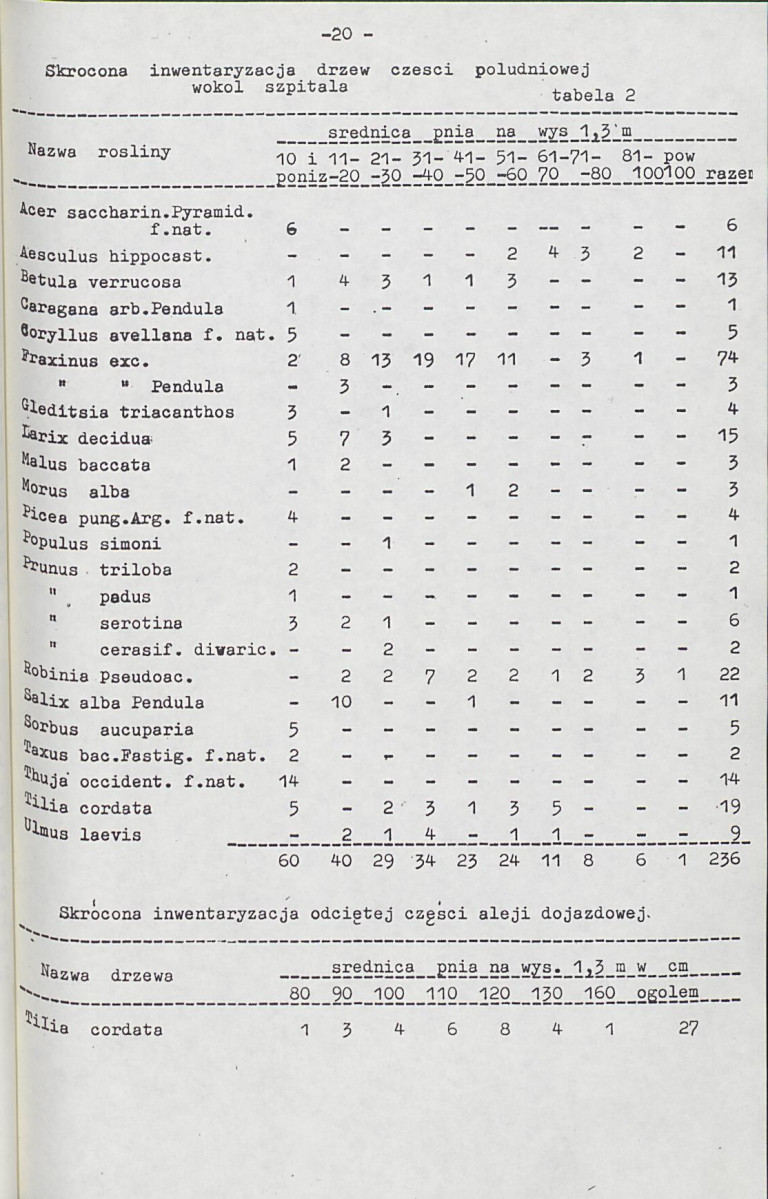 Ewidencja parkowa, skan nr 31