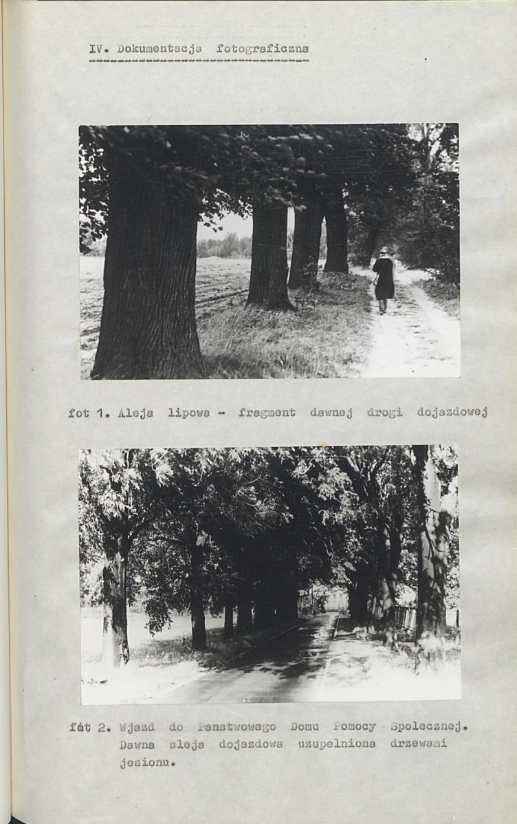 Ewidencja parkowa, skan nr 36