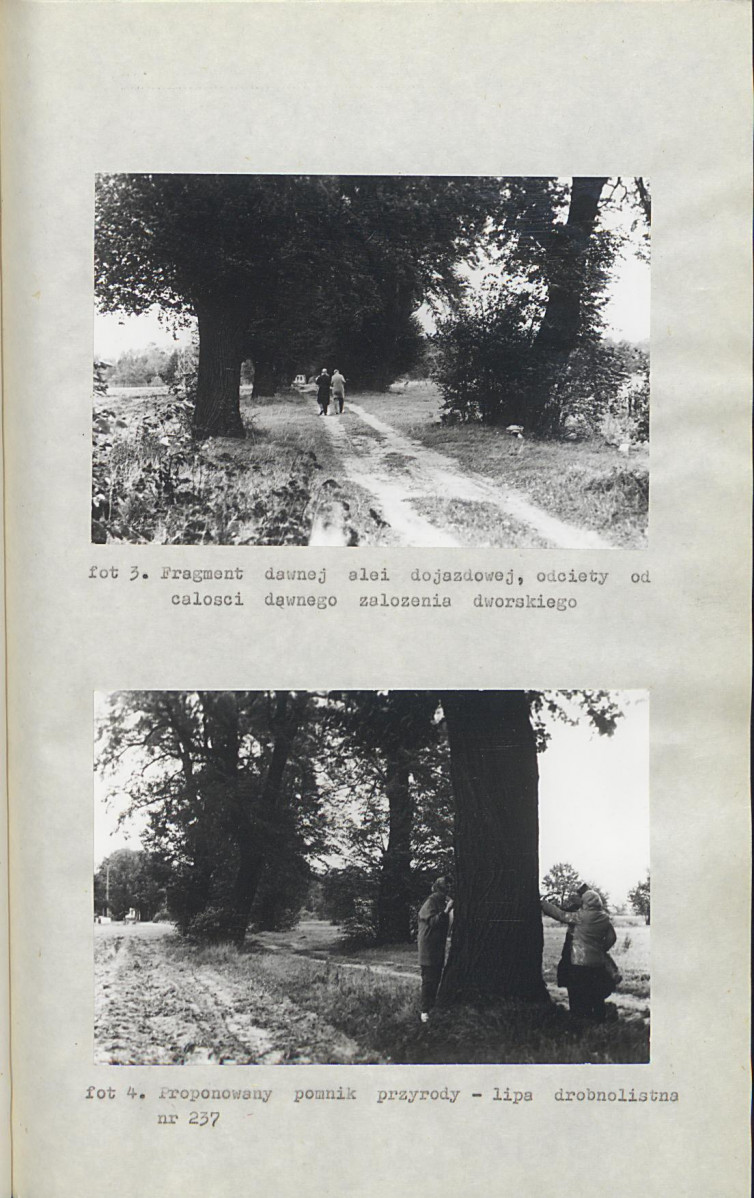Ewidencja parkowa, skan nr 38