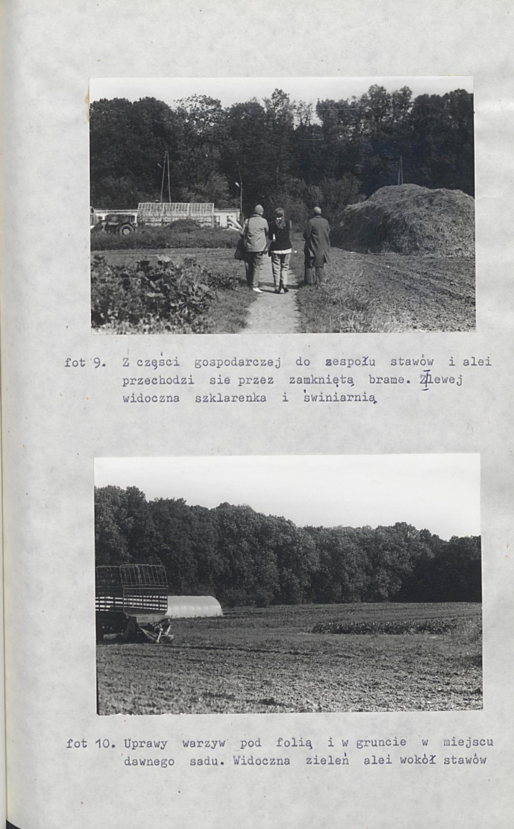 Ewidencja parkowa, skan nr 41