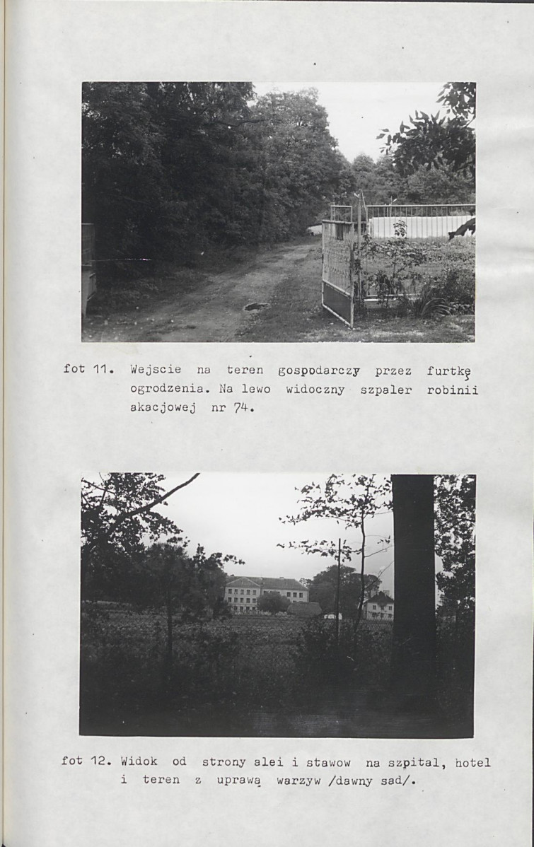 Ewidencja parkowa, skan nr 42