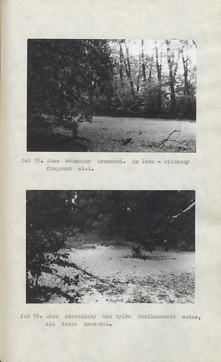 Ewidencja parkowa, skan nr 45
