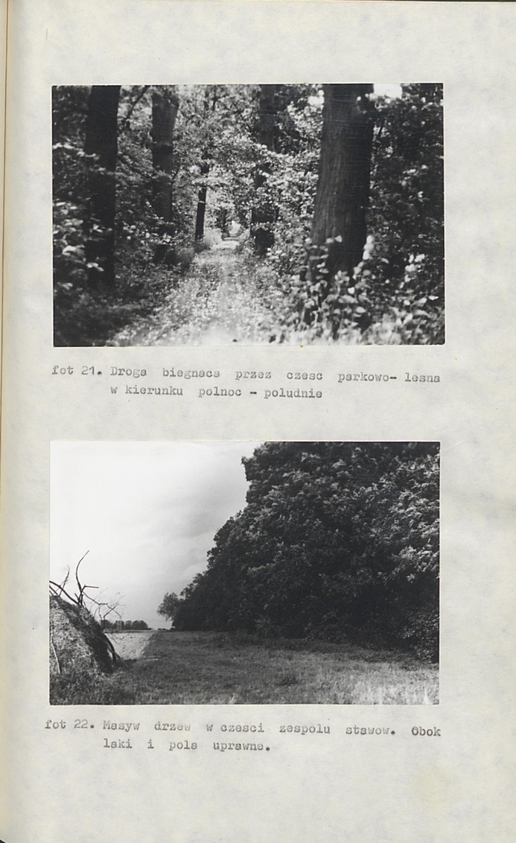 Ewidencja parkowa, skan nr 47