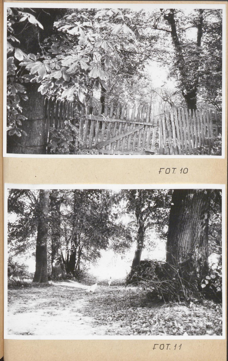 Ewidencja parkowa, skan nr 28