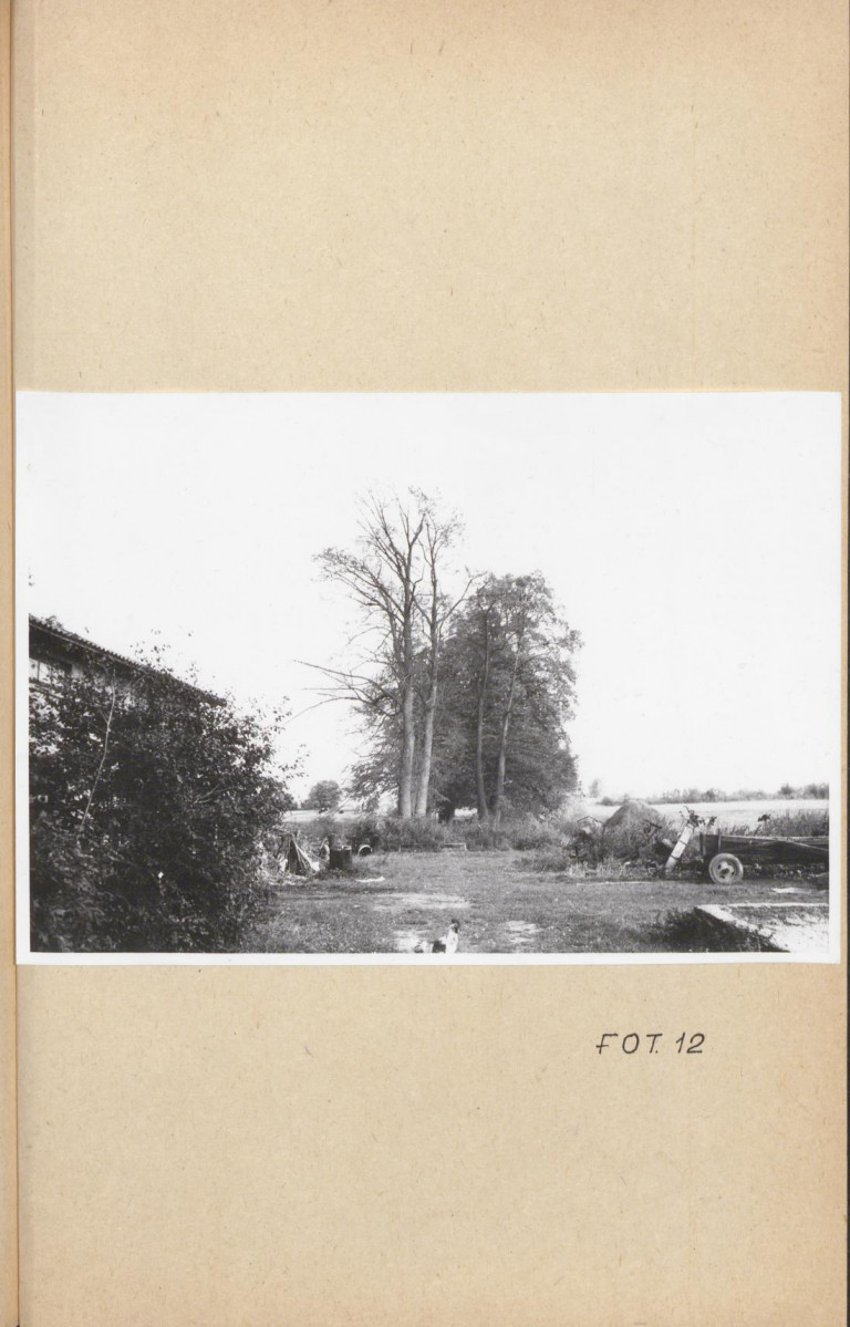 Ewidencja parkowa, skan nr 29