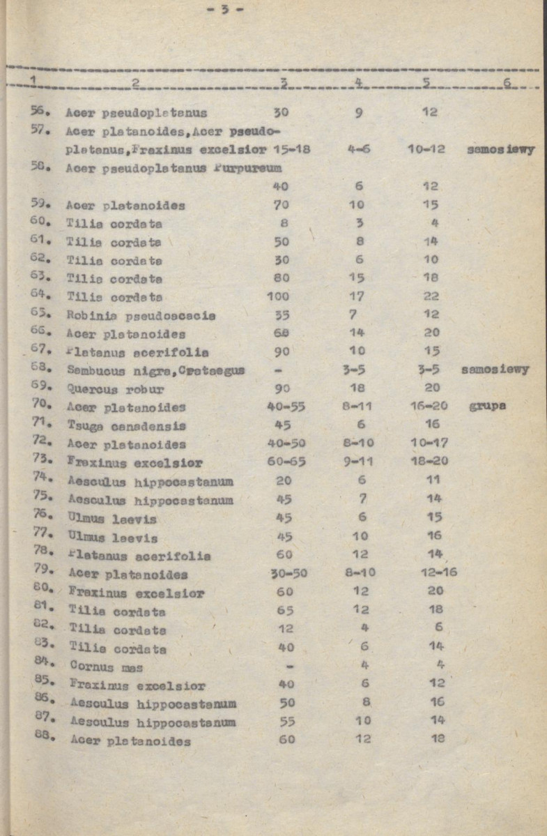 Ewidencja parkowa, skan nr 28