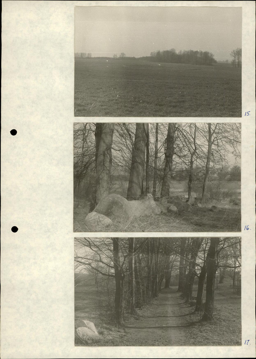Ewidencja parkowa, skan nr 22