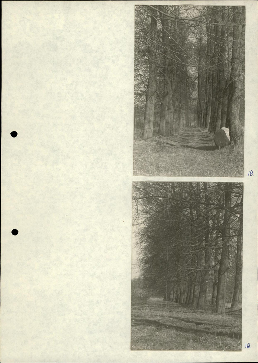 Ewidencja parkowa, skan nr 23