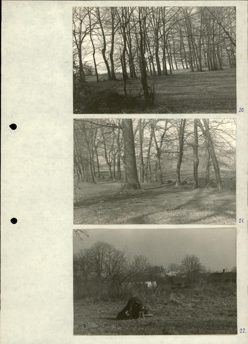 Ewidencja parkowa, skan nr 24