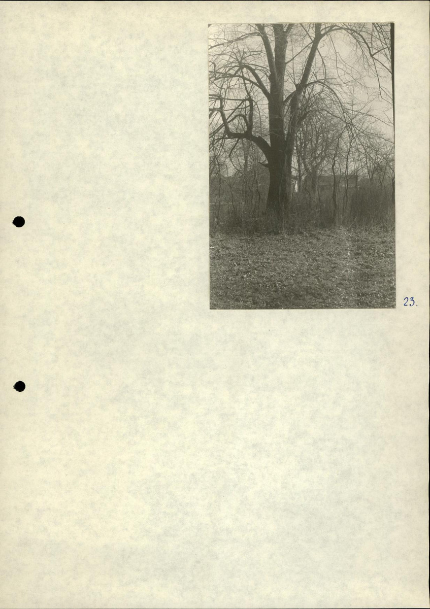 Ewidencja parkowa, skan nr 25