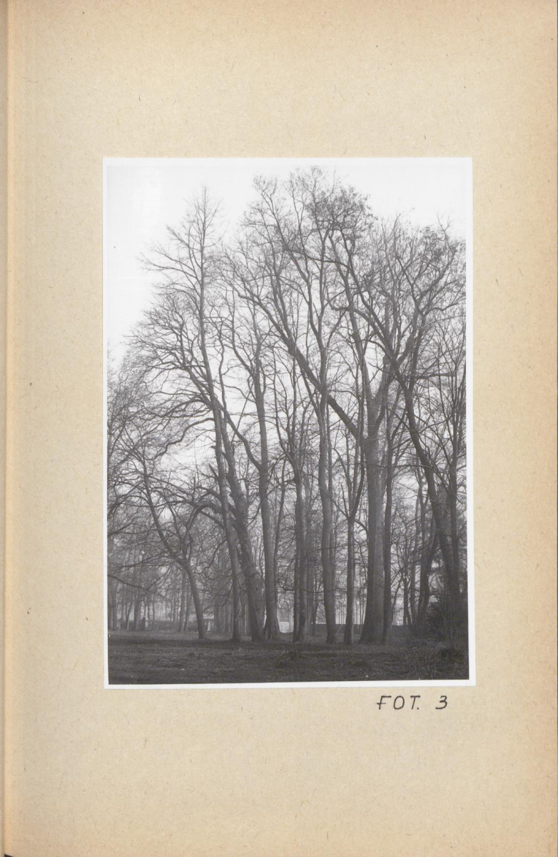 Ewidencja parkowa, skan nr 55