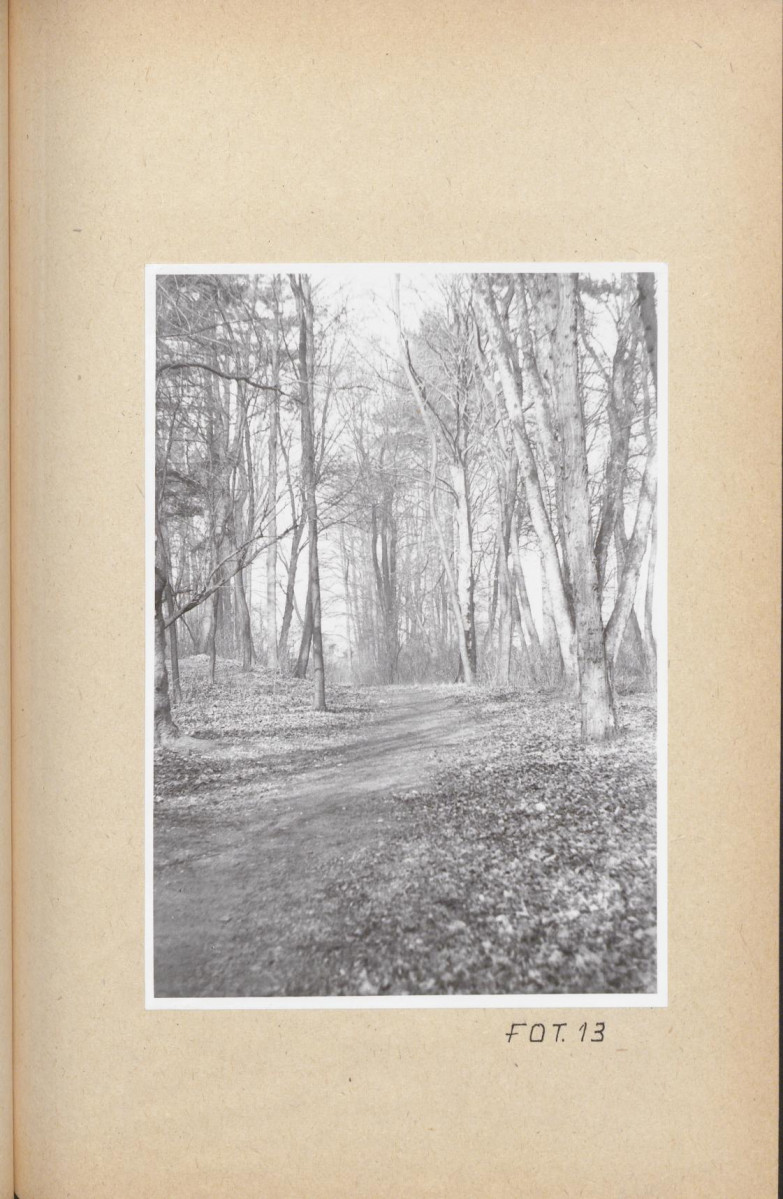 Ewidencja parkowa, skan nr 63