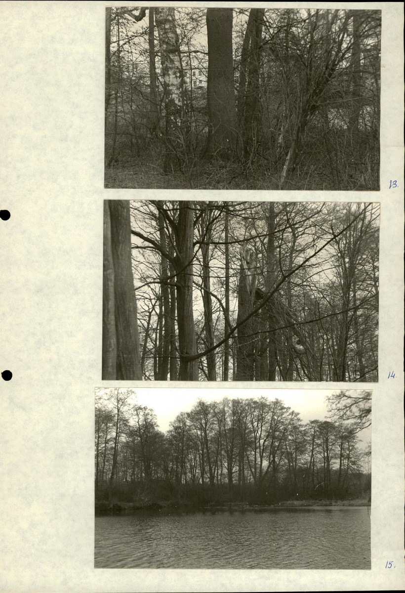 Ewidencja parkowa, skan nr 26
