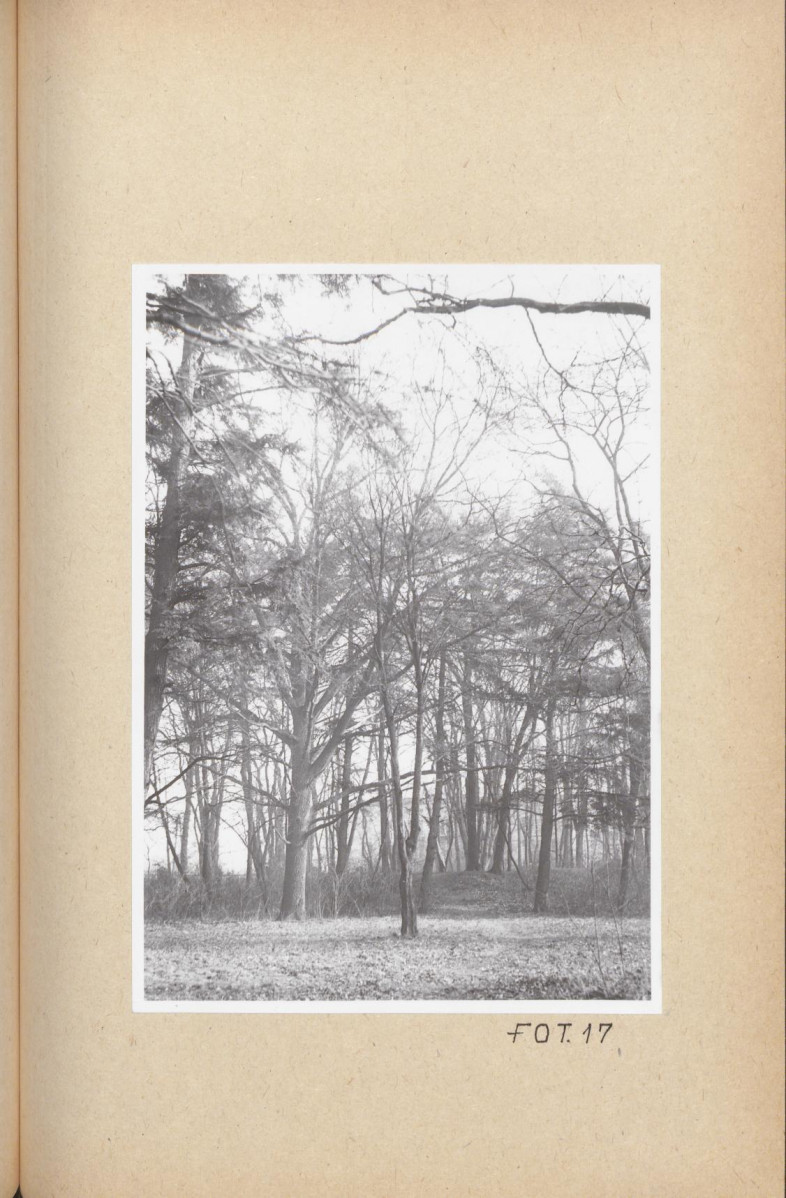 Ewidencja parkowa, skan nr 67