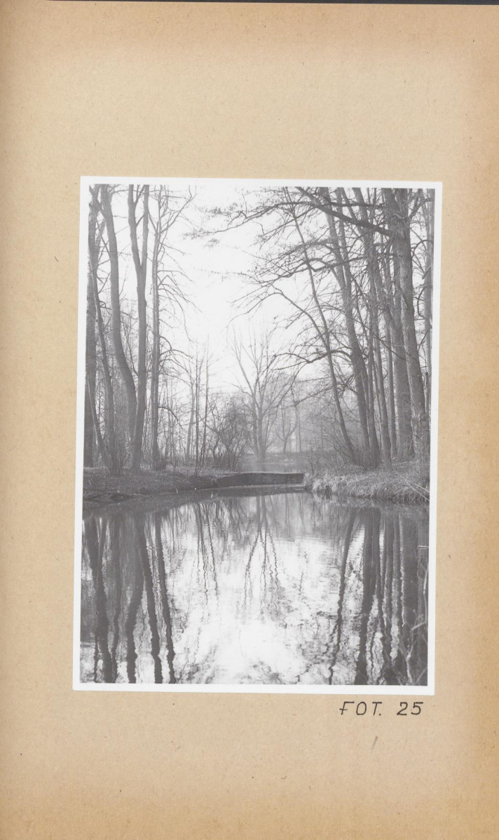 Ewidencja parkowa, skan nr 74