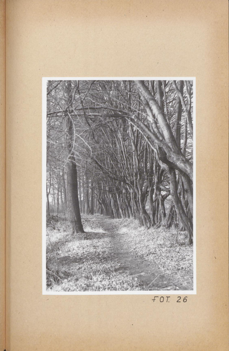 Ewidencja parkowa, skan nr 75