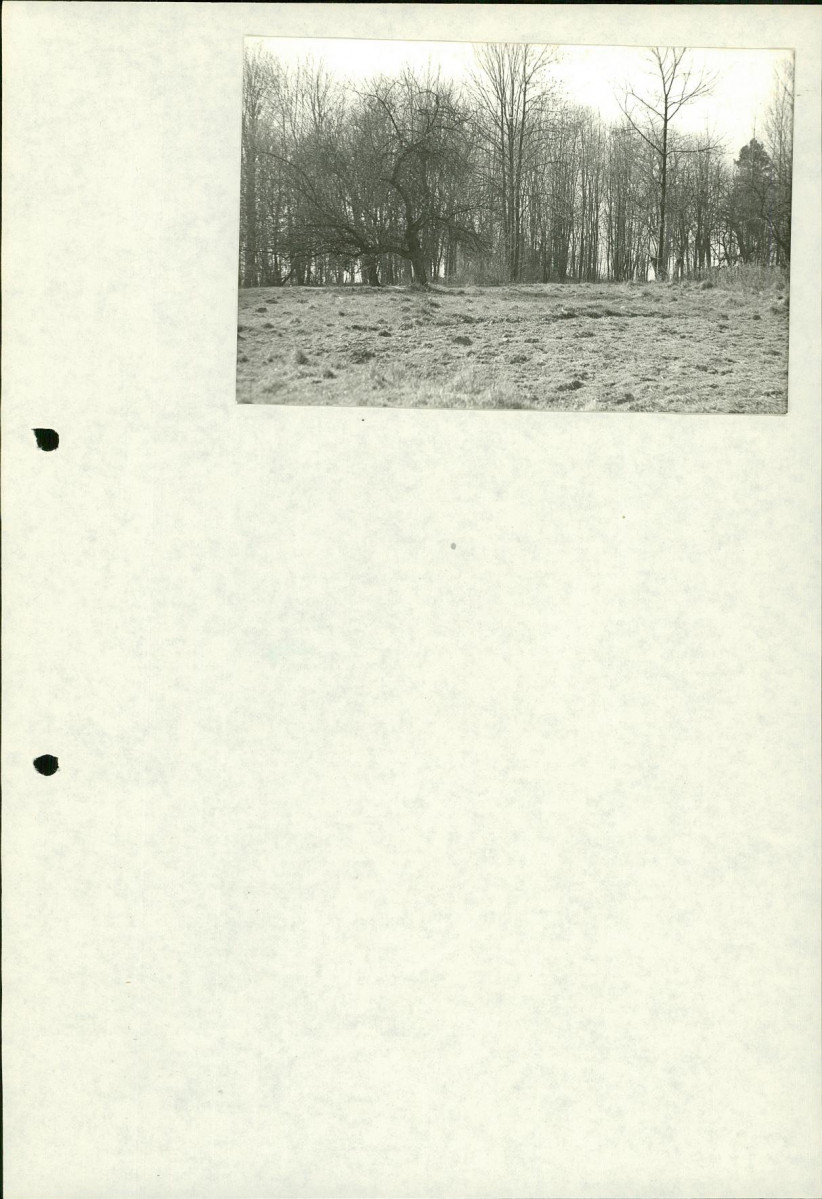 Ewidencja parkowa, skan nr 33