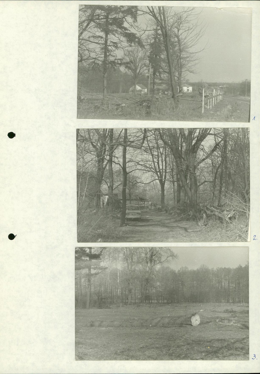 Ewidencja parkowa, skan nr 21