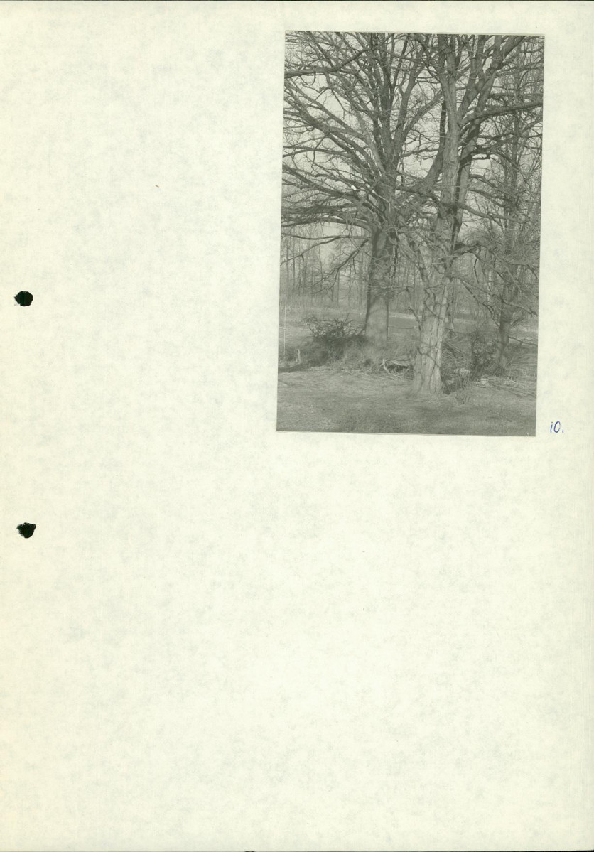 Ewidencja parkowa, skan nr 25