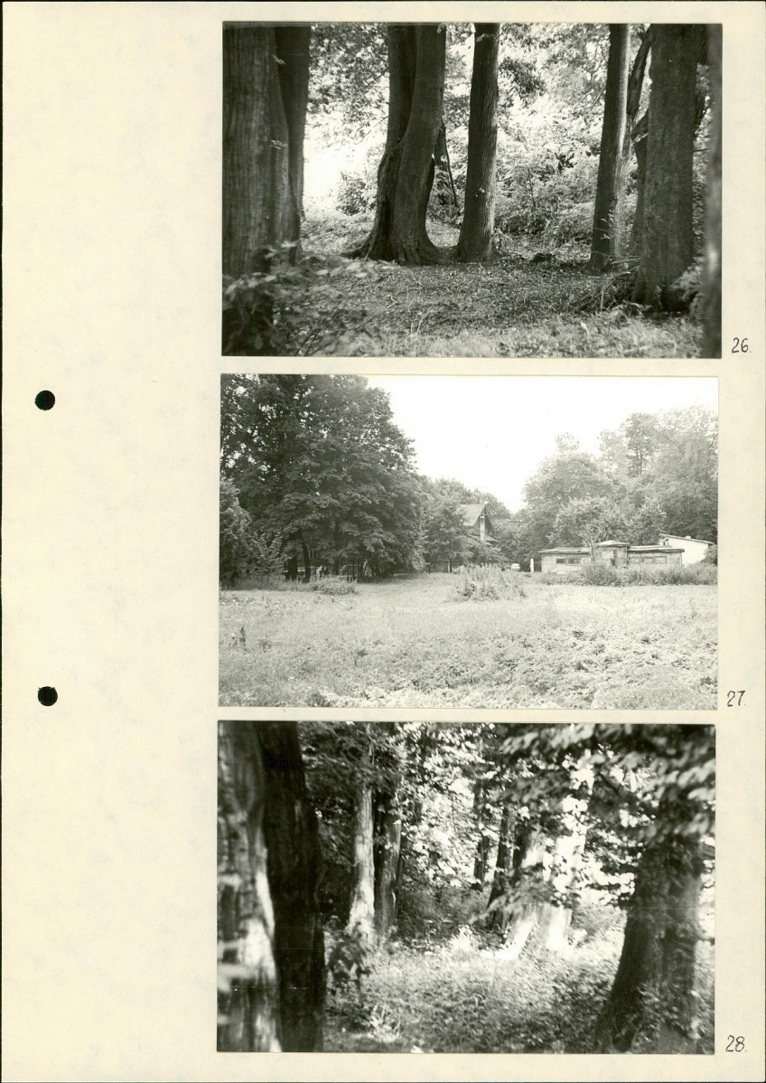 Ewidencja parkowa, skan nr 31
