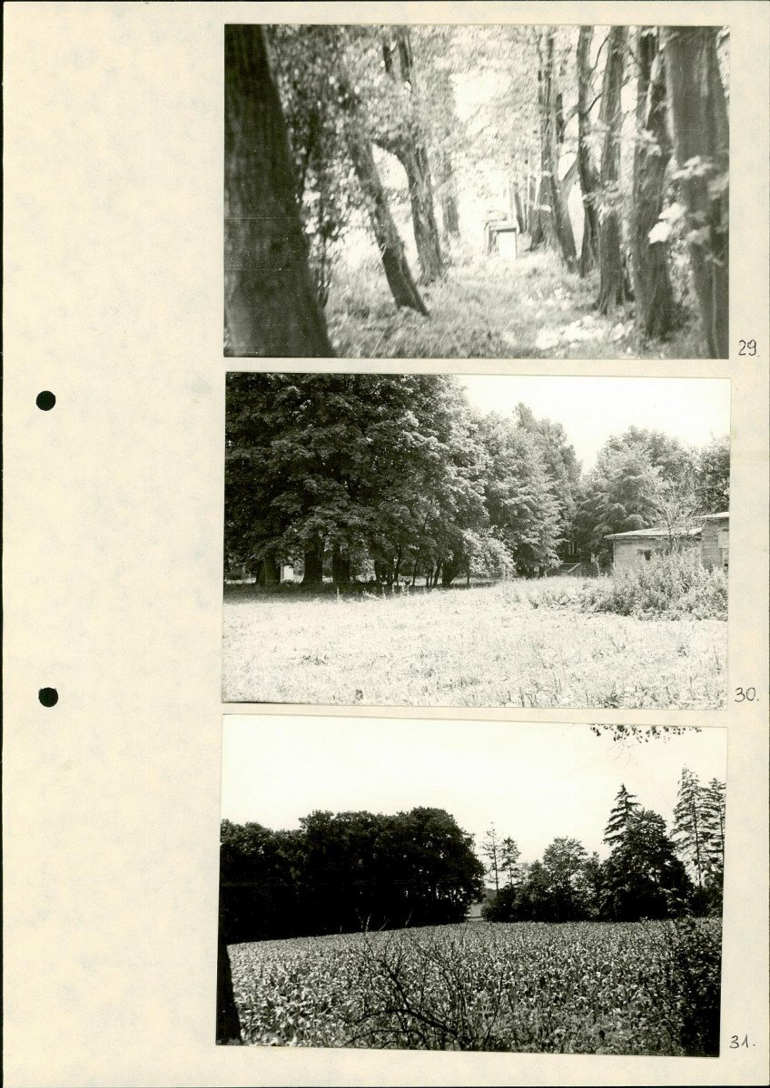 Ewidencja parkowa, skan nr 32