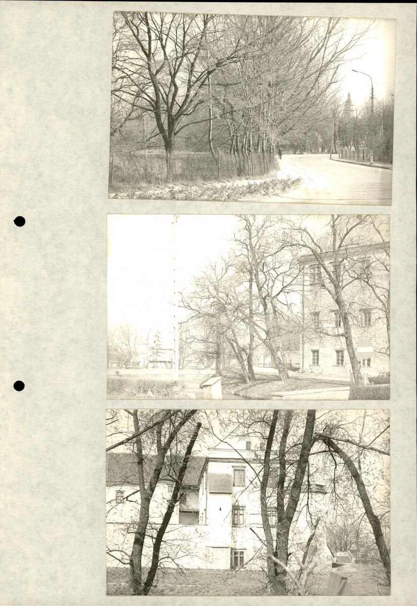 Ewidencja parkowa, skan nr 29