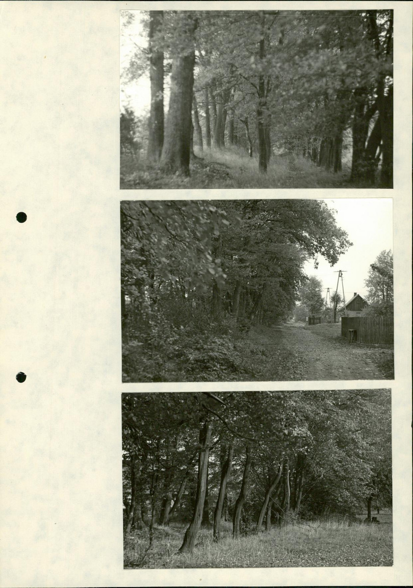 Ewidencja parkowa, skan nr 26