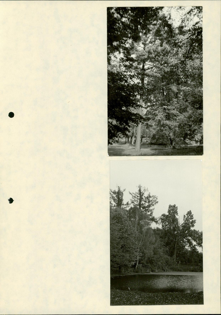 Ewidencja parkowa, skan nr 28