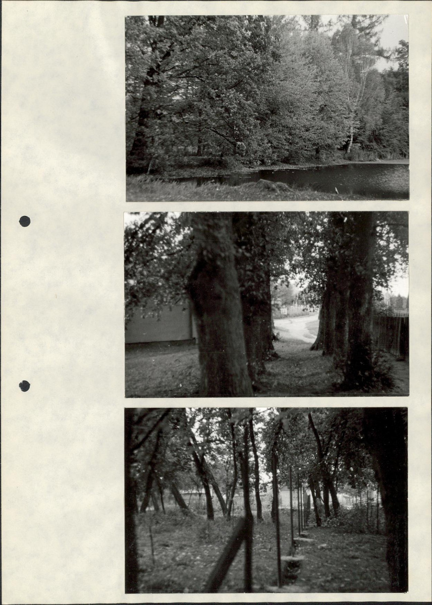 Ewidencja parkowa, skan nr 29