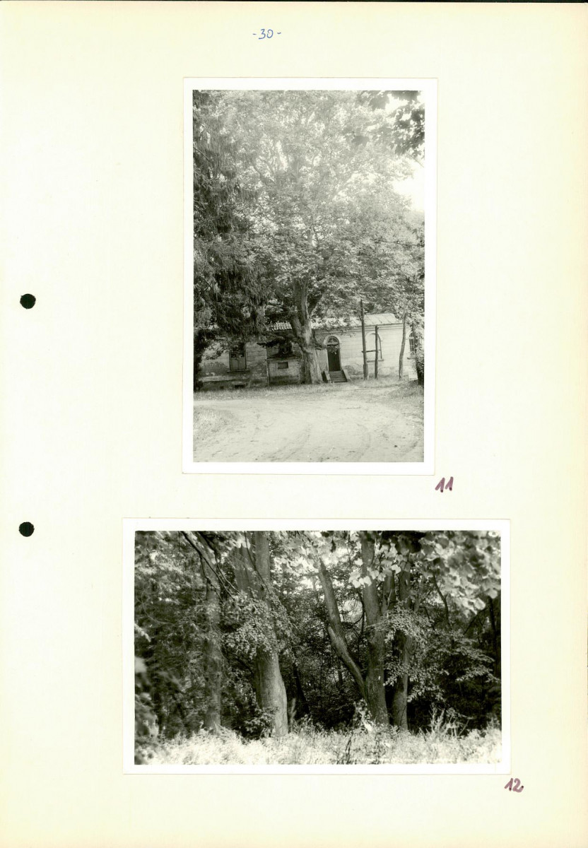 Ewidencja parkowa, skan nr 36