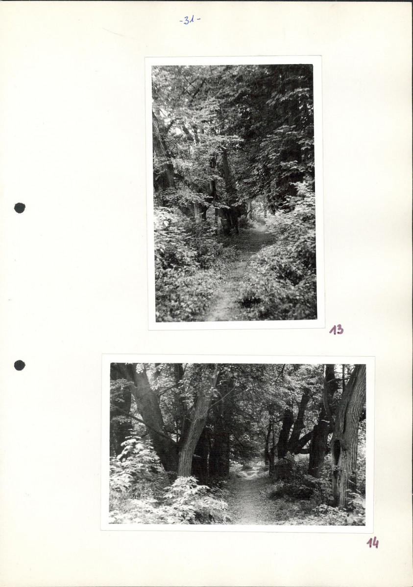 Ewidencja parkowa, skan nr 37