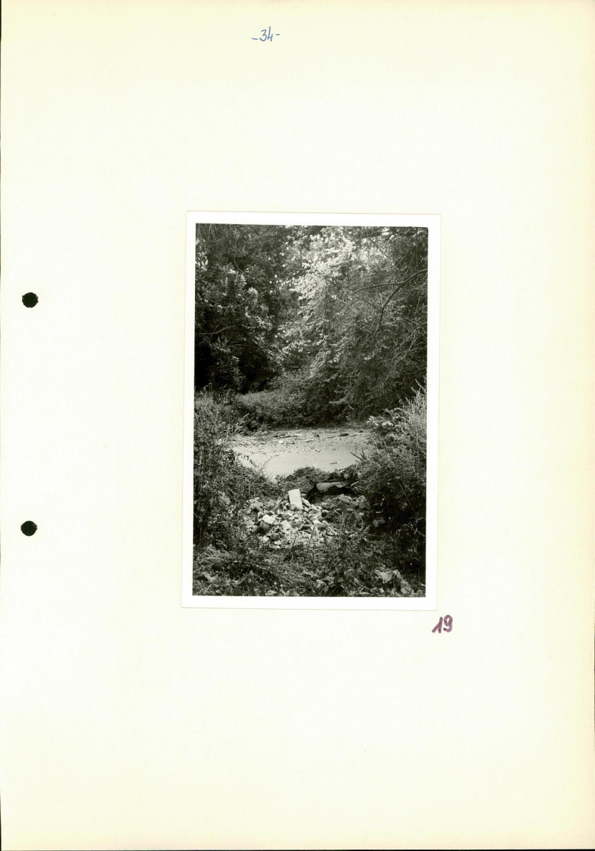 Ewidencja parkowa, skan nr 40