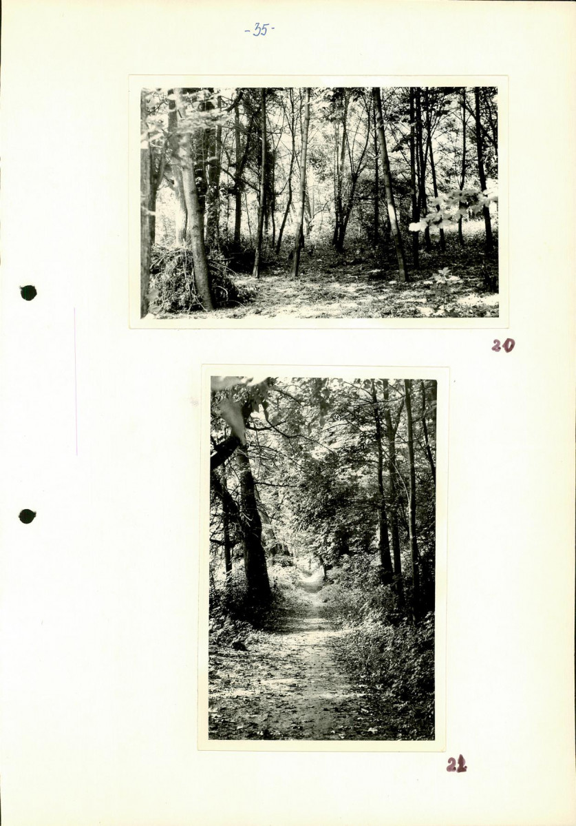 Ewidencja parkowa, skan nr 41