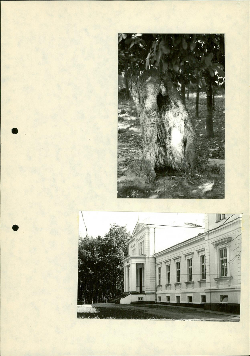 EP - Ewidencja parkowa, skan nr 27