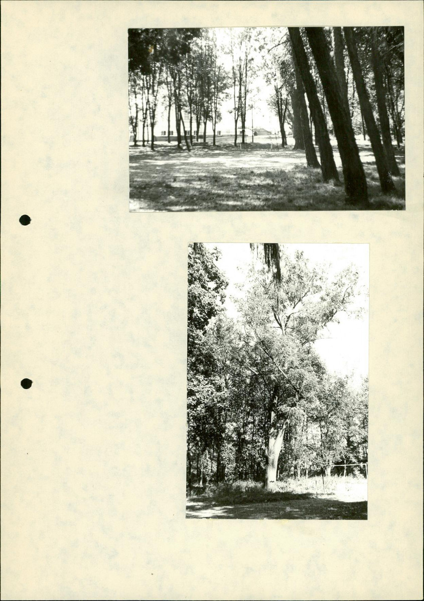 EP - Ewidencja parkowa, skan nr 32