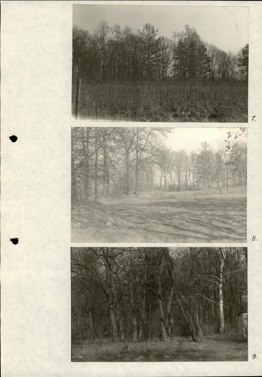 Ewidencja parkowa, skan nr 24
