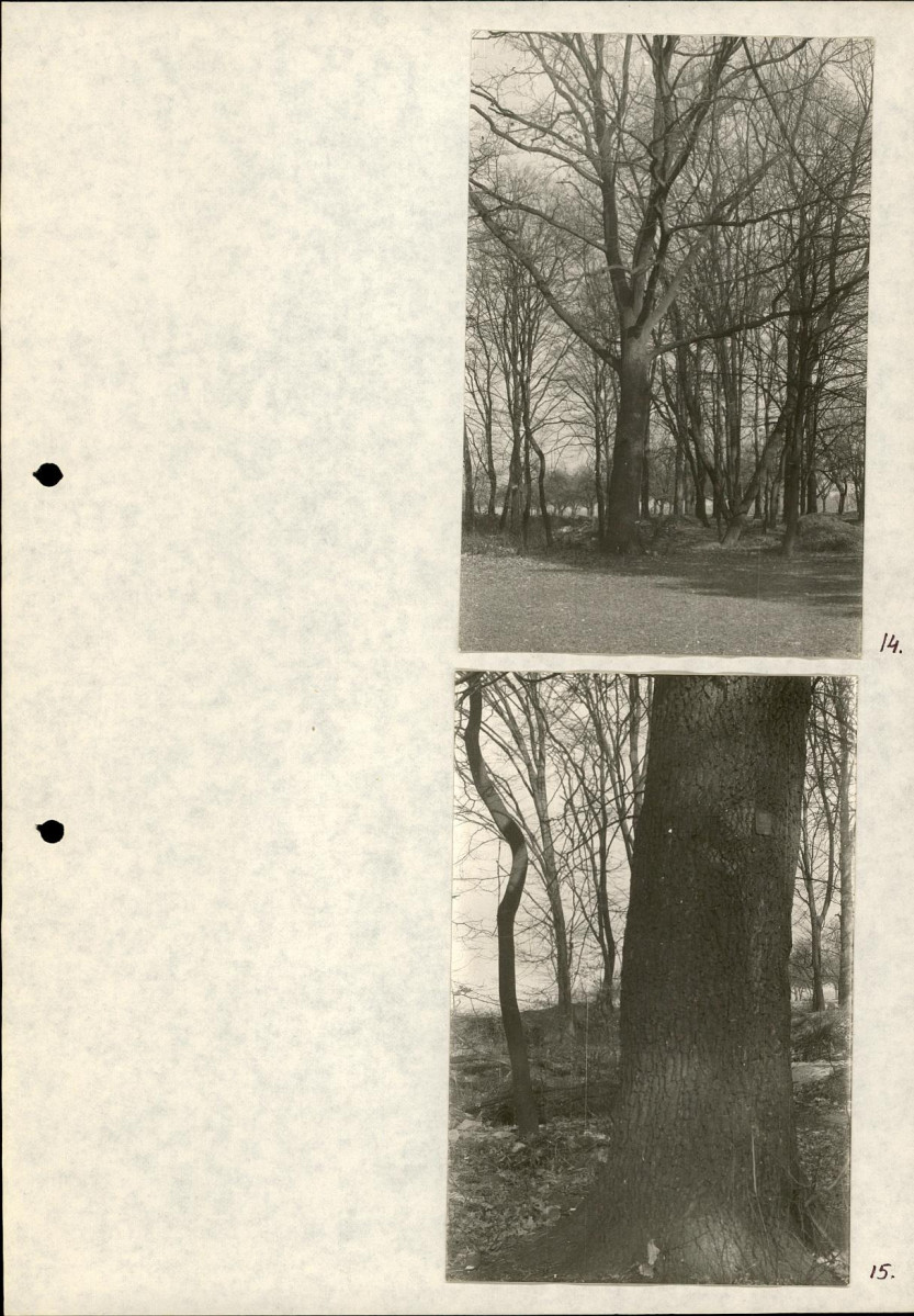 Ewidencja parkowa, skan nr 27