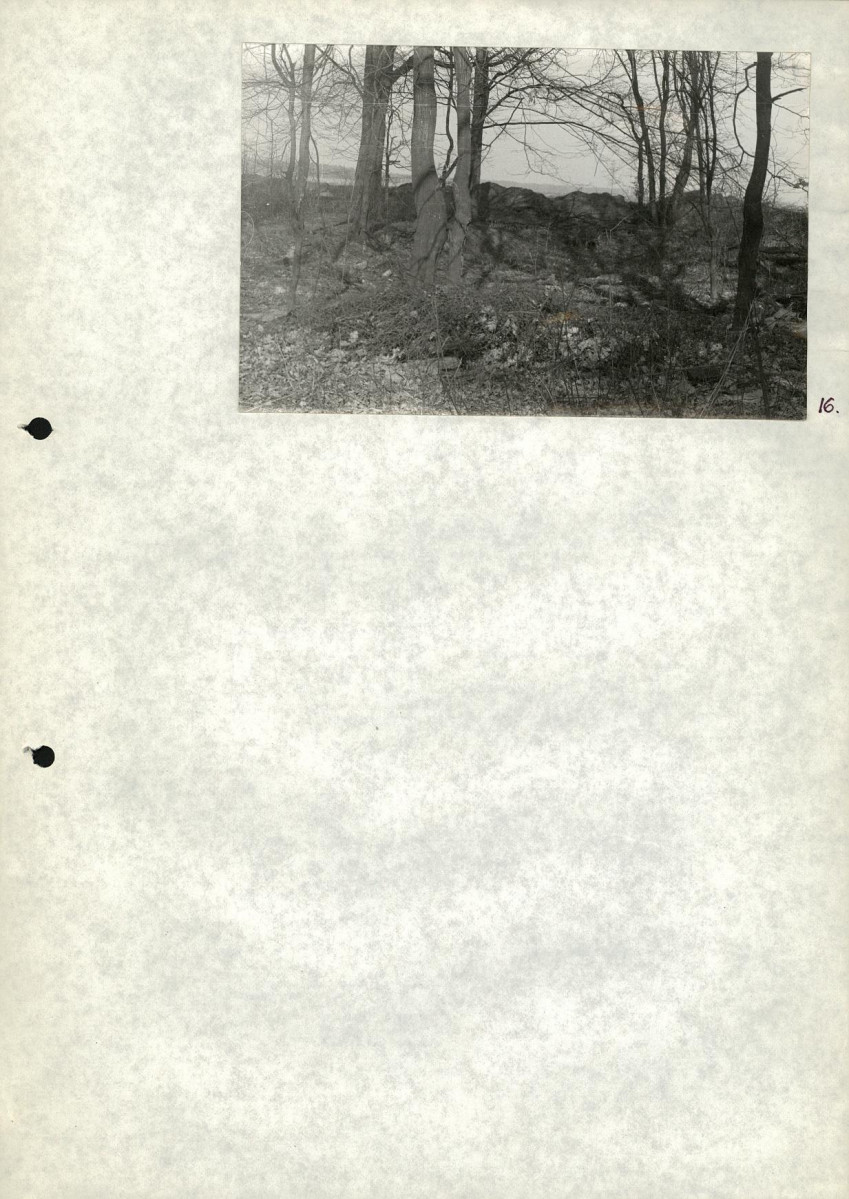 Ewidencja parkowa, skan nr 28