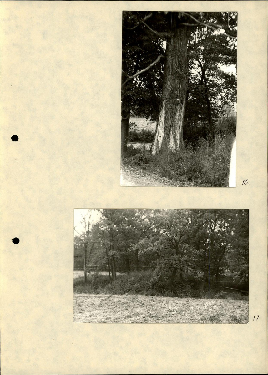 Ewidencja parkowa, skan nr 26