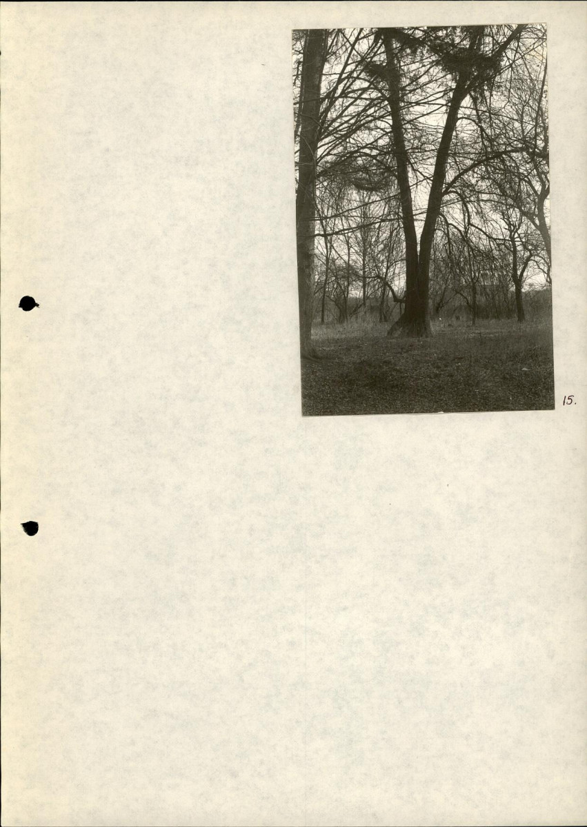 Ewidencja parkowa, skan nr 25