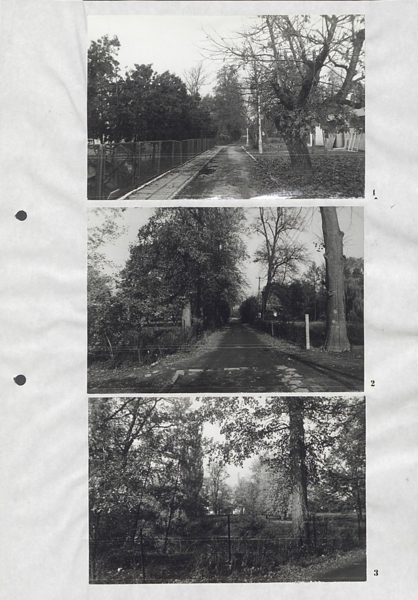 Ewidencja parkowa, skan nr 19