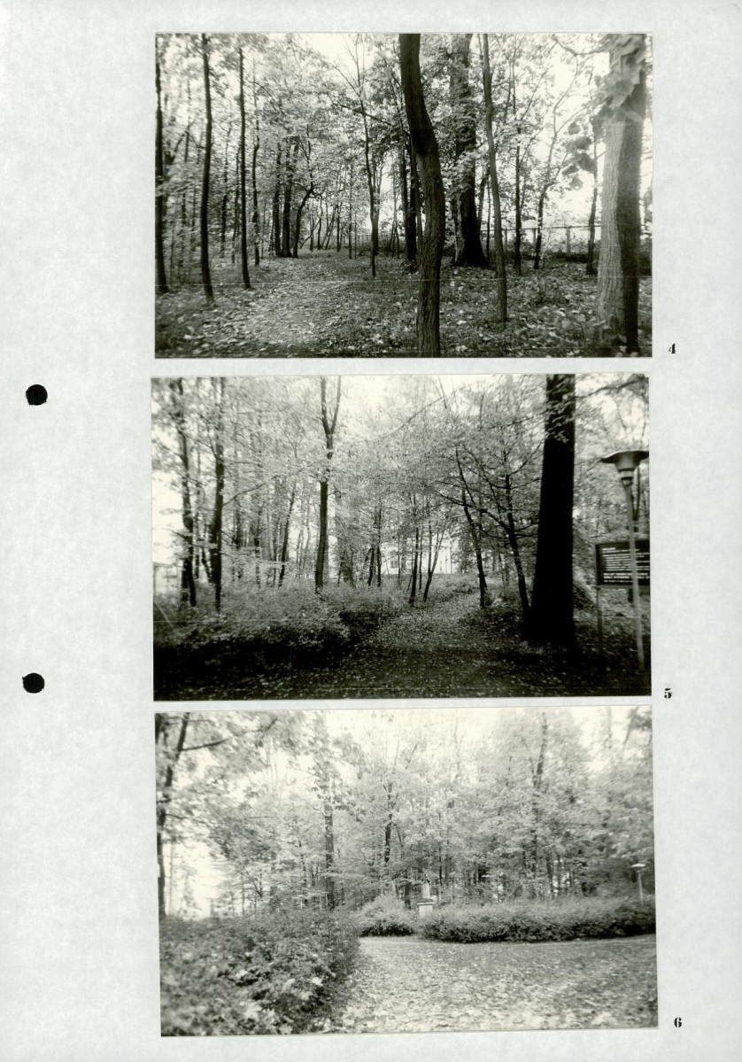 Ewidencja parkowa, skan nr 23